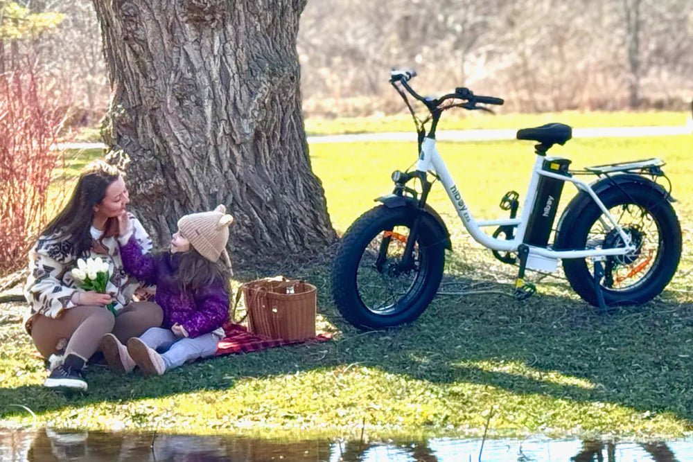 Hiboy EX6 Step - thru - E - Bike QC